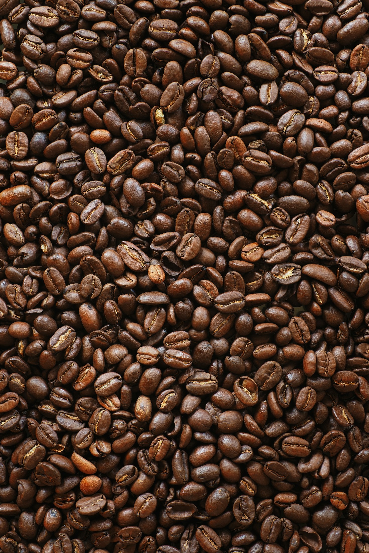Tips for Choosing High-Quality Coffee Beans